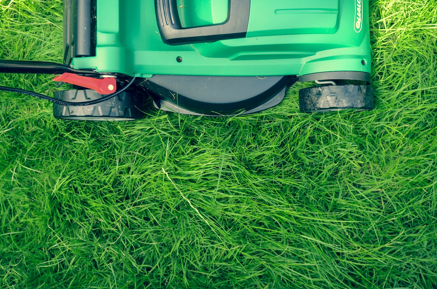 A lush, professionally maintained lawn and garden